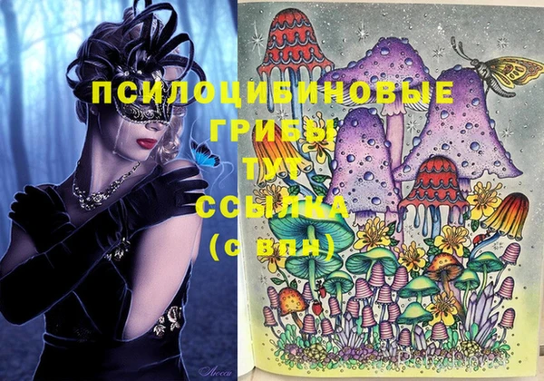 соль курить ск Аркадак